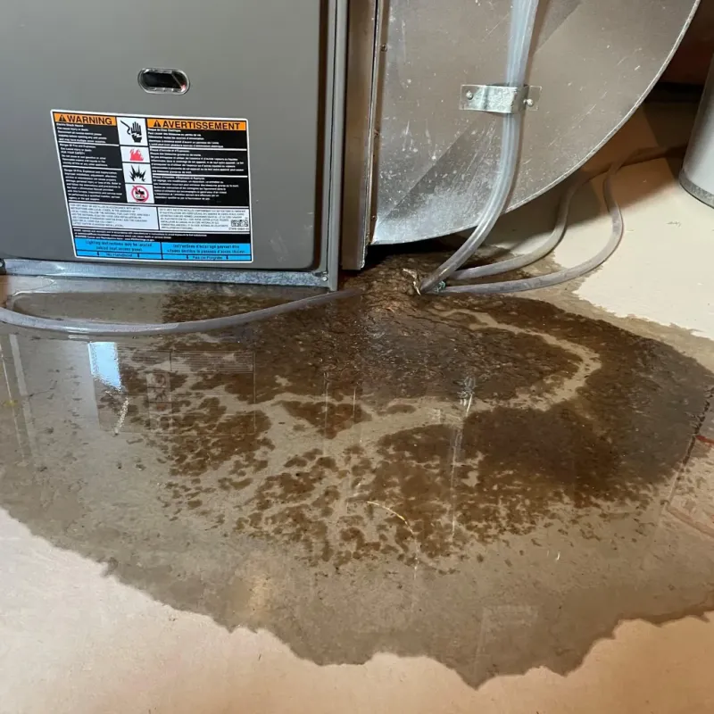 Appliance Leak Cleanup in Hastings, MI